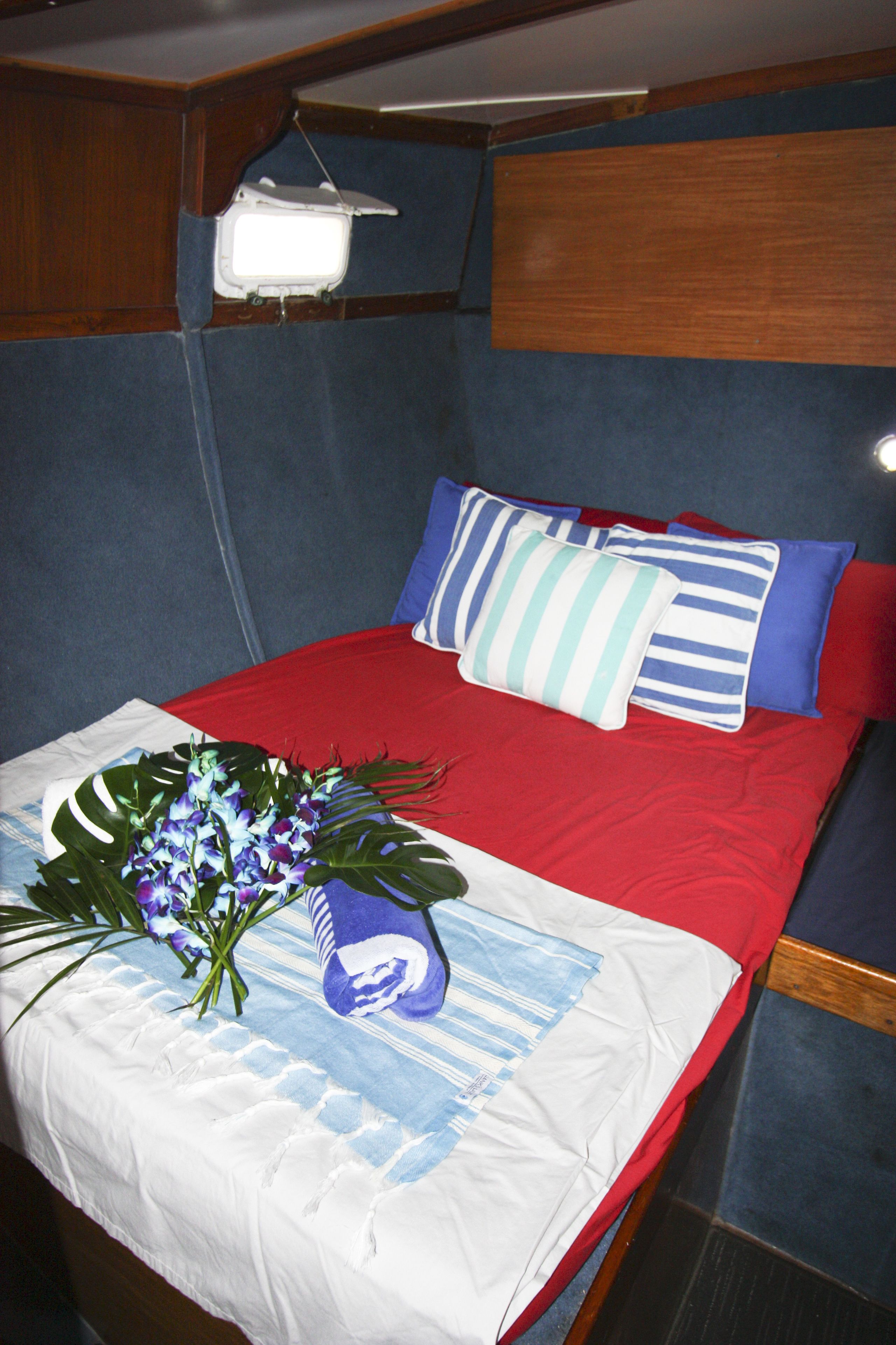 Coral Sea Dreaming Dive and Sail