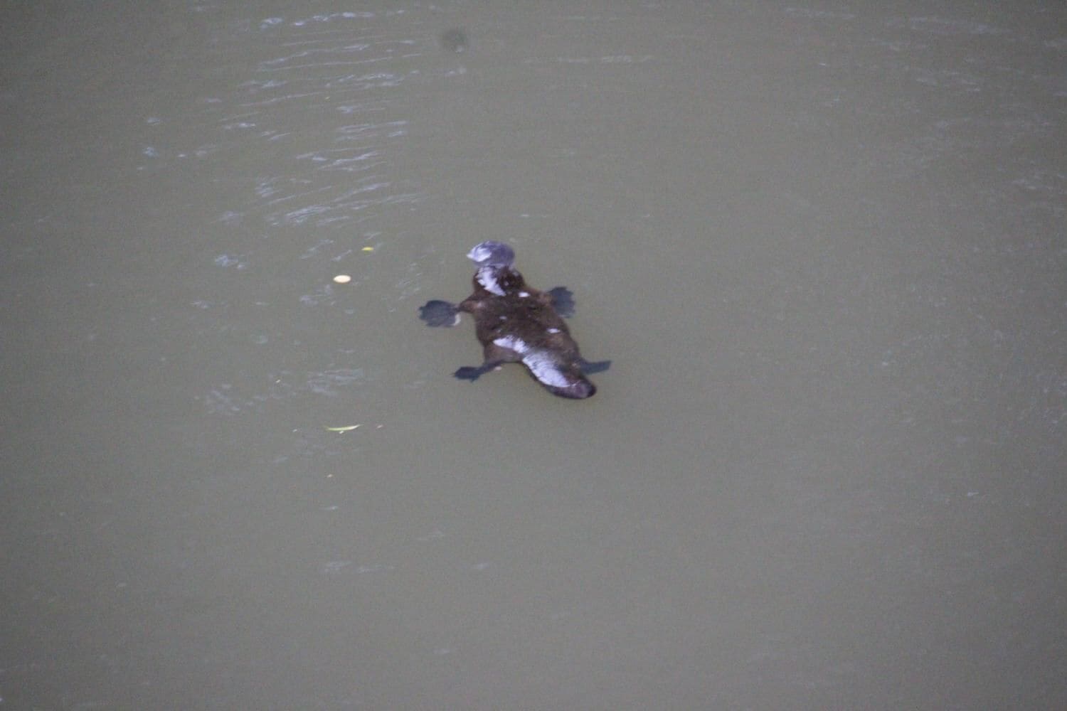 Nimbin Rocks Retreat