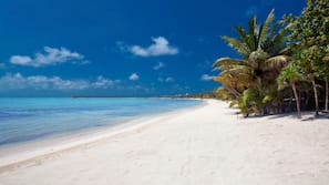 On the beach, sun loungers, beach towels