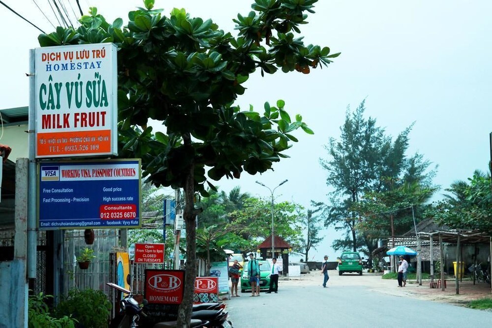 Milk Fruit Homestay 2019 Room Prices Deals Reviews - 