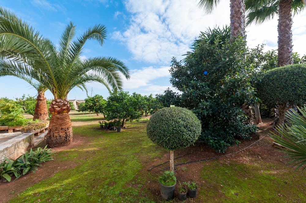 Photo - Can Rafelino