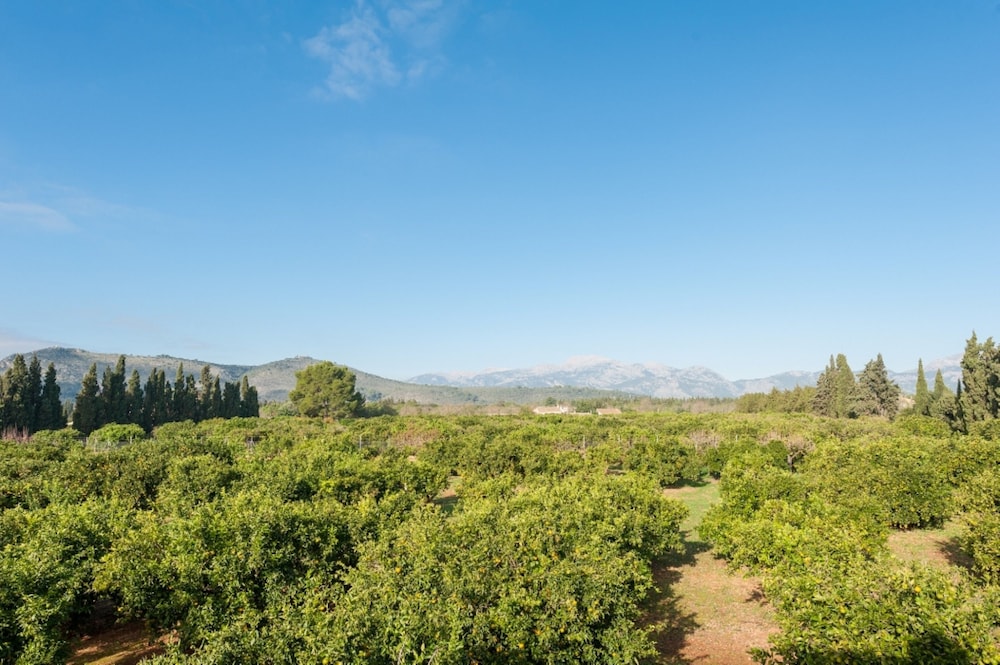 Photo - Can Rafelino