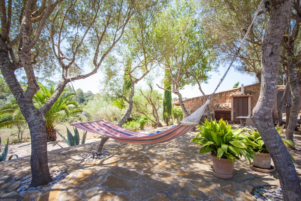 Photo - Can Pina - Eco Groc -