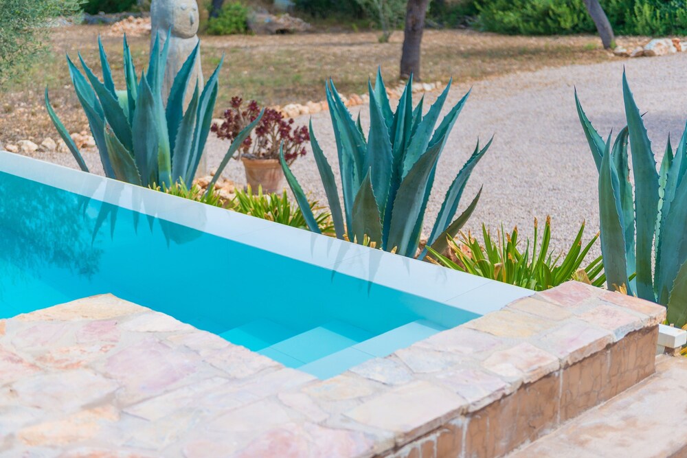 Photo - Can Pina - Eco Pina -