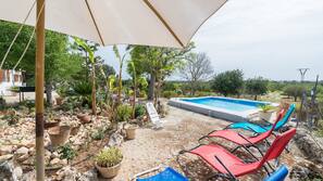 Una piscina al aire libre, sombrillas, tumbonas