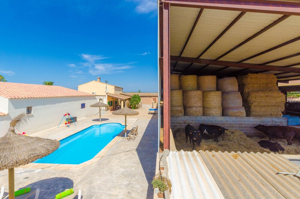 Photo - Sa Caseta De Ses Vaques. Son Covas (Sa Vaqueria 2)