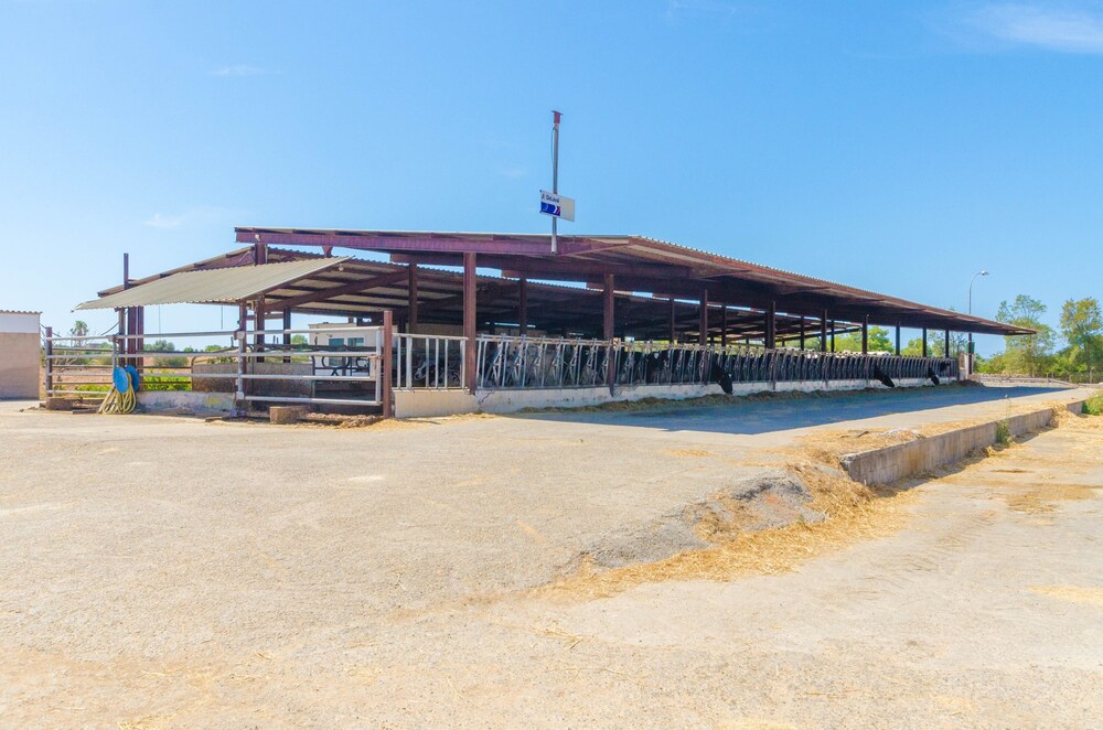 Photo - Sa Caseta De Ses Vaques. Son Covas (Sa Vaqueria 2)