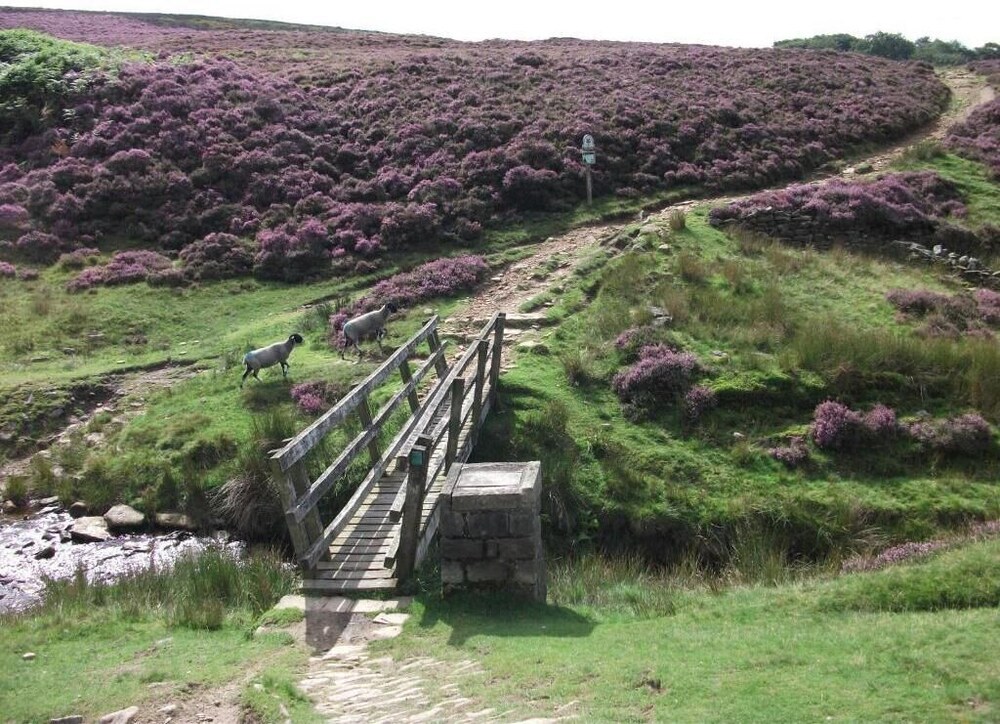 Lantern Pike Inn