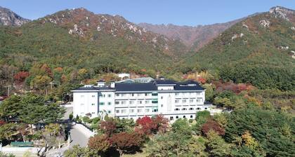 Gaya Hotel