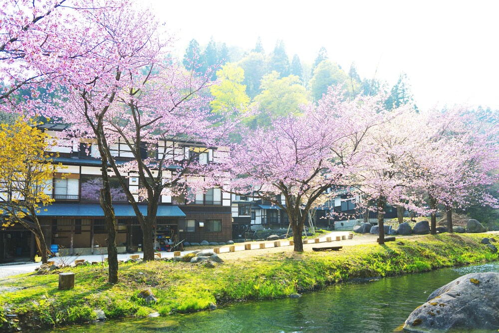 Kaikake Onsen In Yuzawa Cheap Hotel Deals Rates Hotel - 