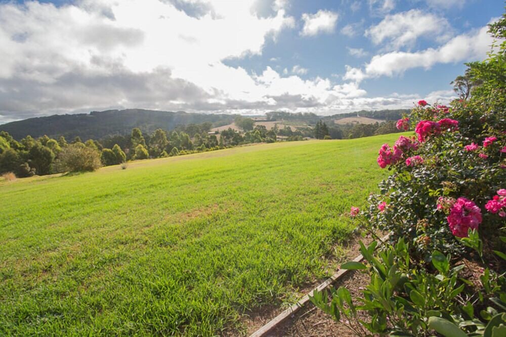 Mountain view, Karri Aura