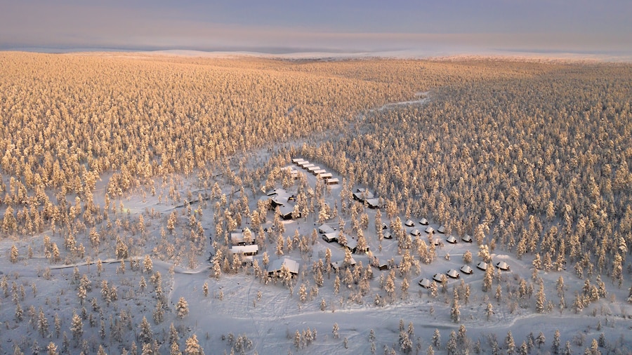 Wilderness Hotel Muotka & Igloos