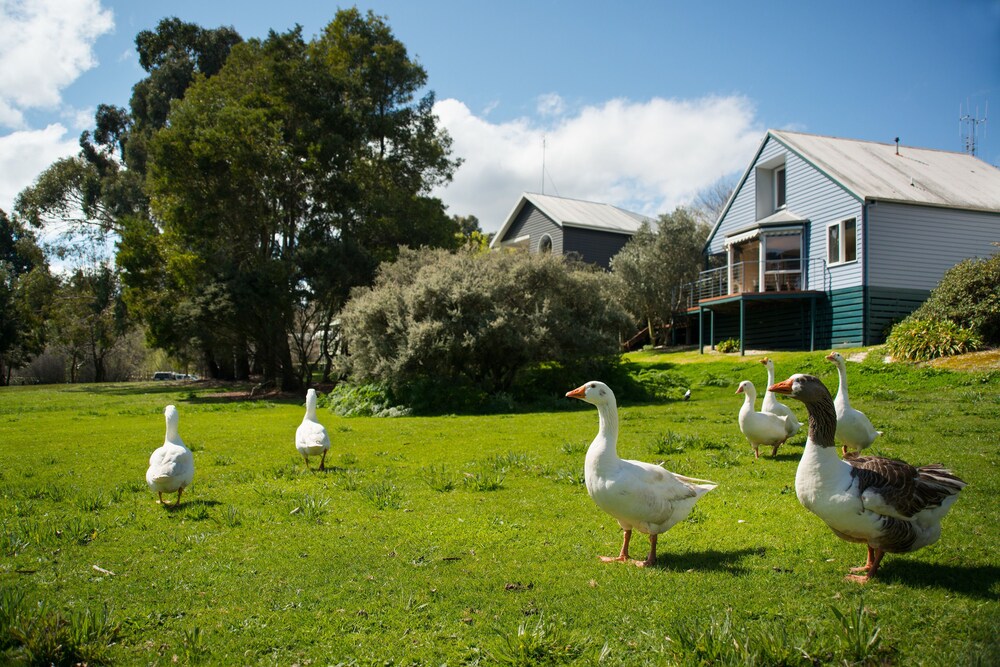 Boatshed Villa Green Door