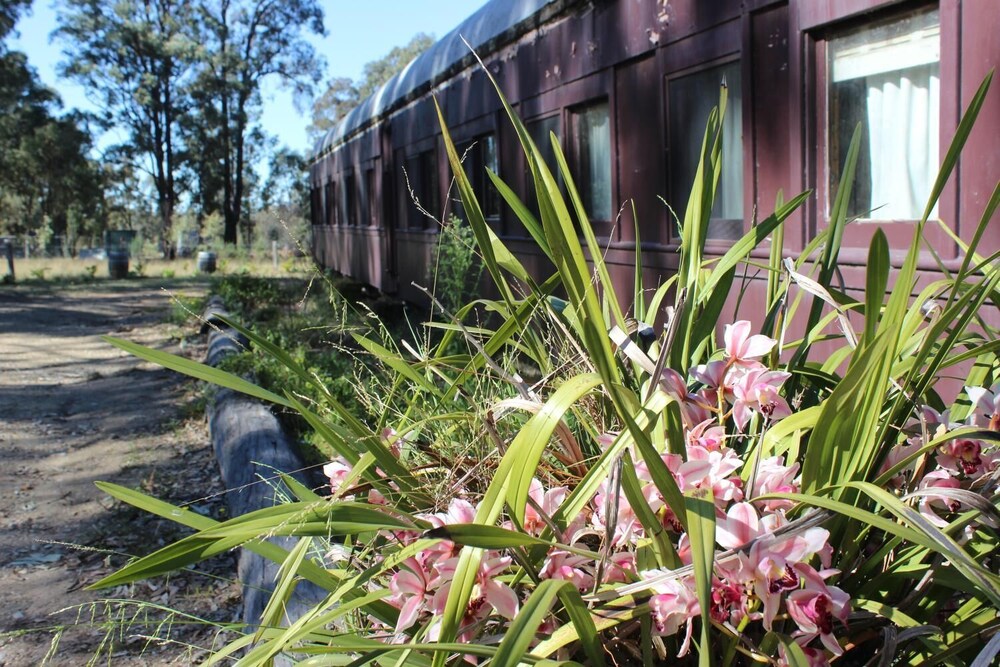 Krinklewood Cottage and Train Carriages