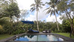 Outdoor pool, pool umbrellas, pool loungers