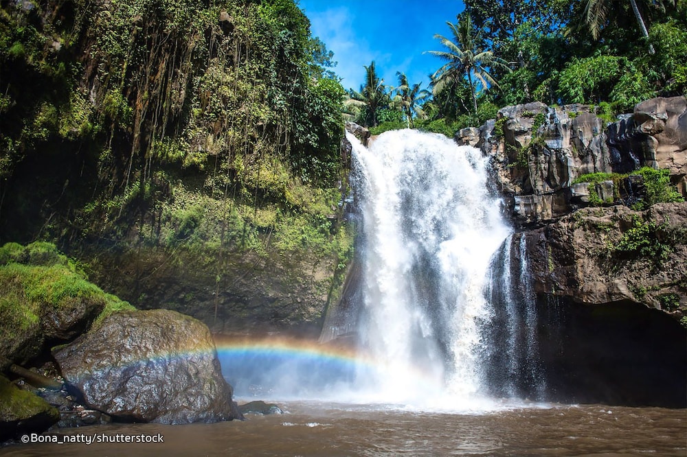 Get Ubud Valley Boutique Resort Background