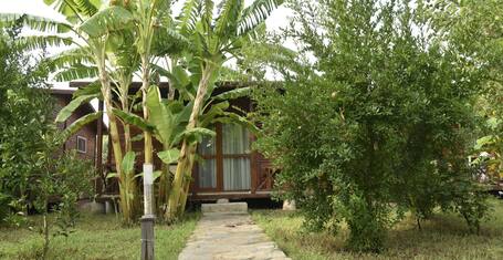 Eliz Inn Garden Apart Otel In Kemer Turkey Expedia