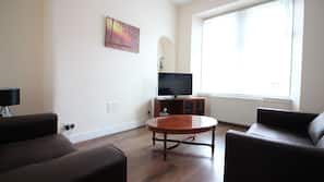Flat-screen TV