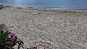 Beach nearby, beach bar