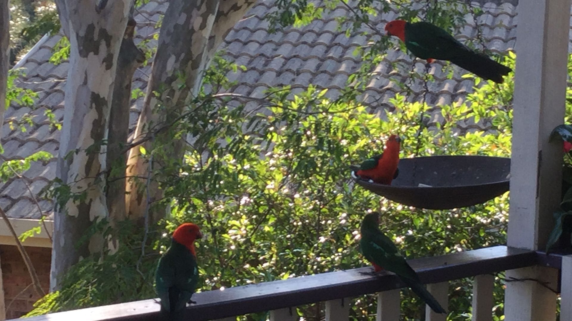 Waterside Apartment With Full Kitchen
