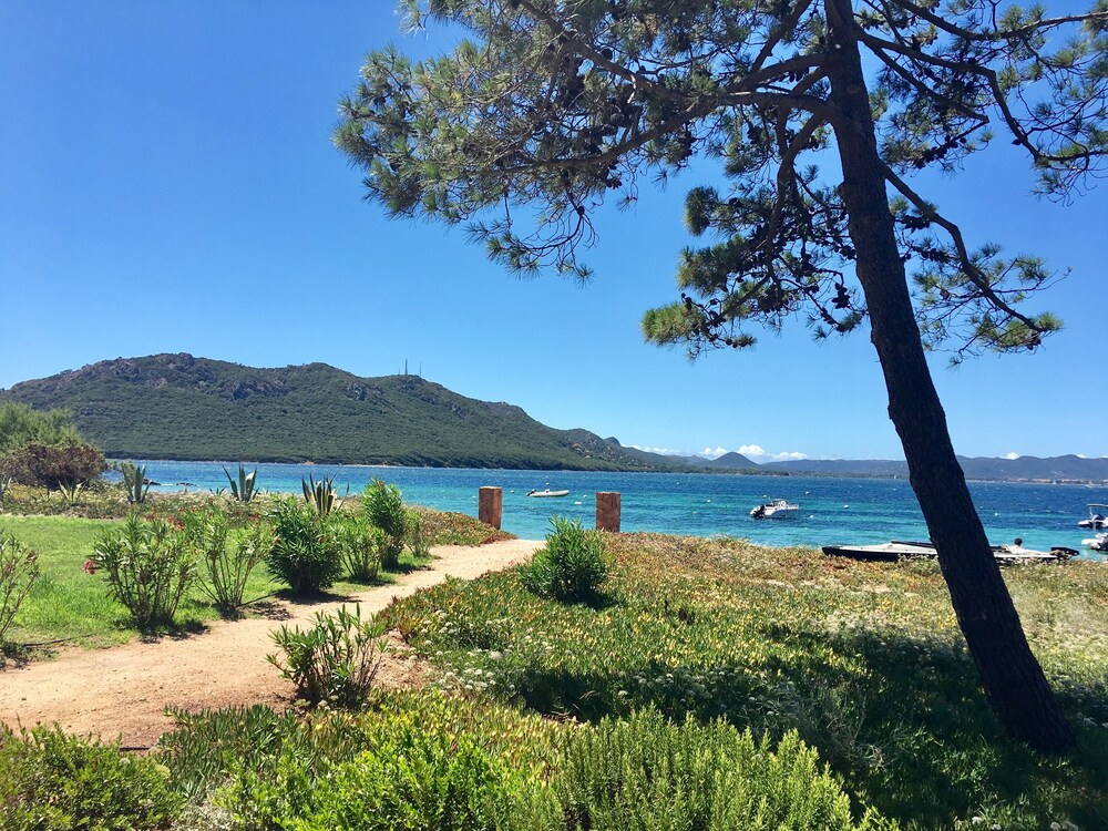 Villa Beachfront Walk In 2 Minutes Benedettu Porto