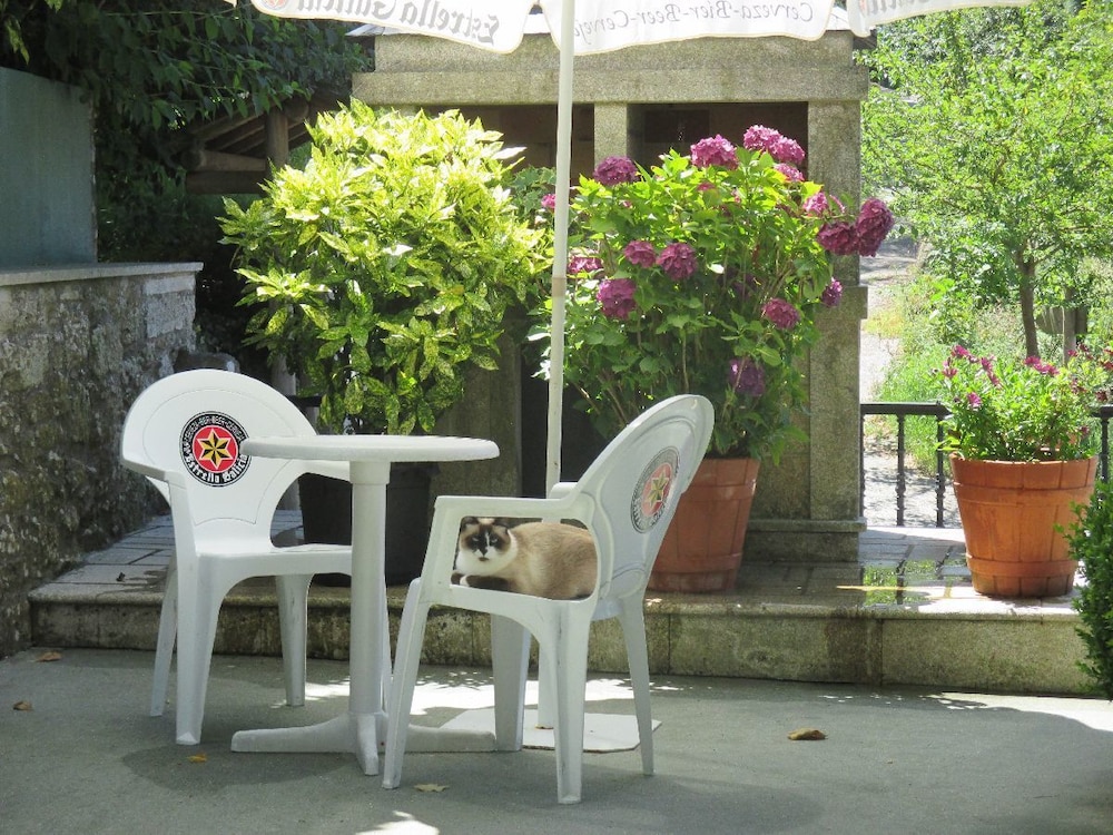 Imagen de Hotel Chola (11 de 27)