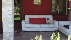 Terrazza/Patio