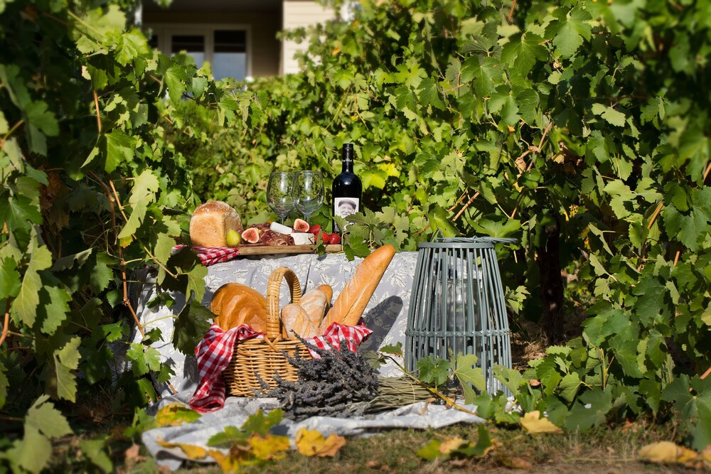 Provence Spa Villa 1