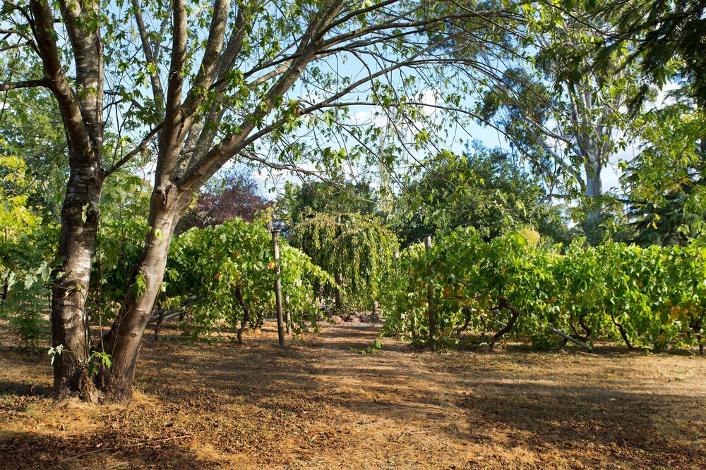 Provence Spa Villa 1