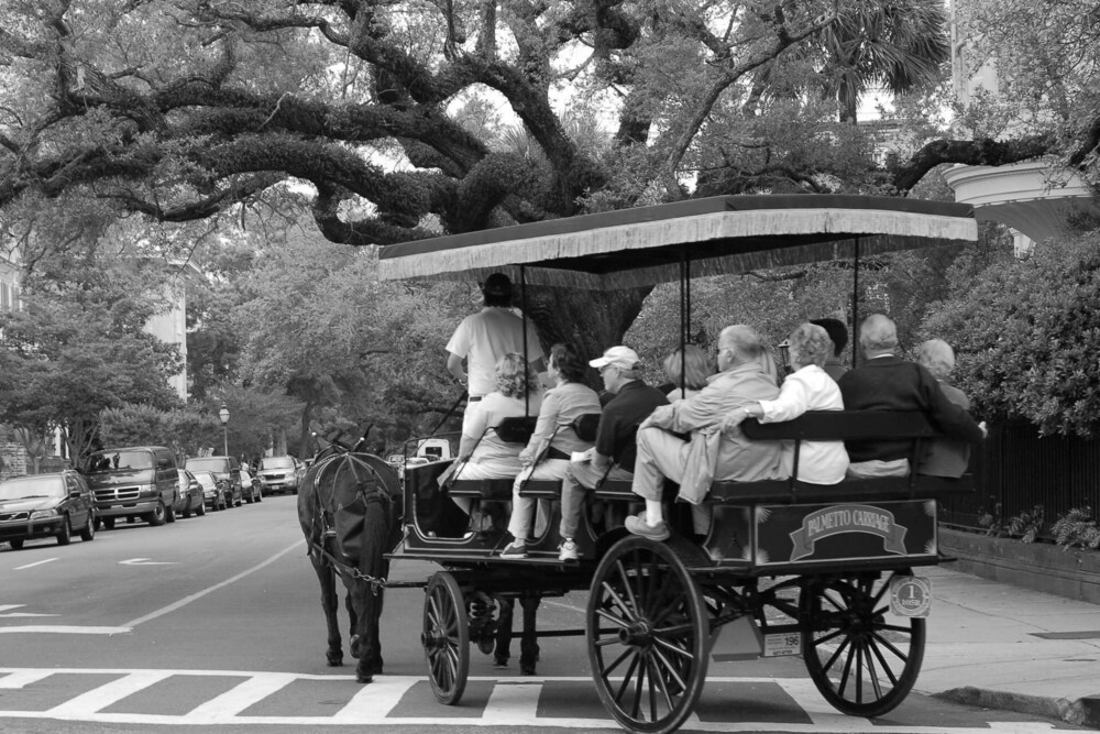 Oceanfront Beach House with Amazing Views, Private Beach Access, Sundeck, Yard & Screened Porches.