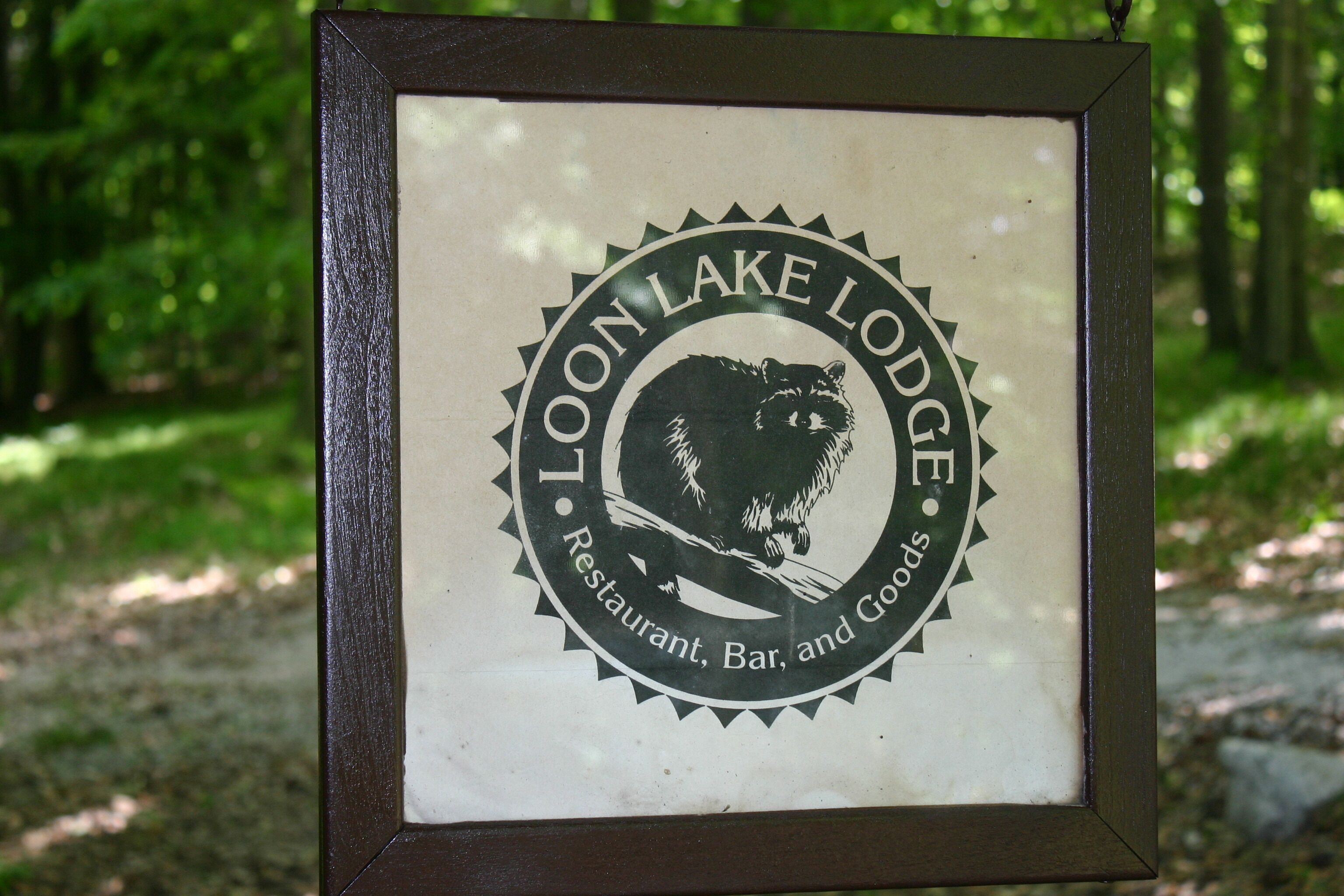 Family Log Cabin Lake View, Beach, Grill, Pontoon, and Kayaks on All-sports Lake in Big Rapids, United States