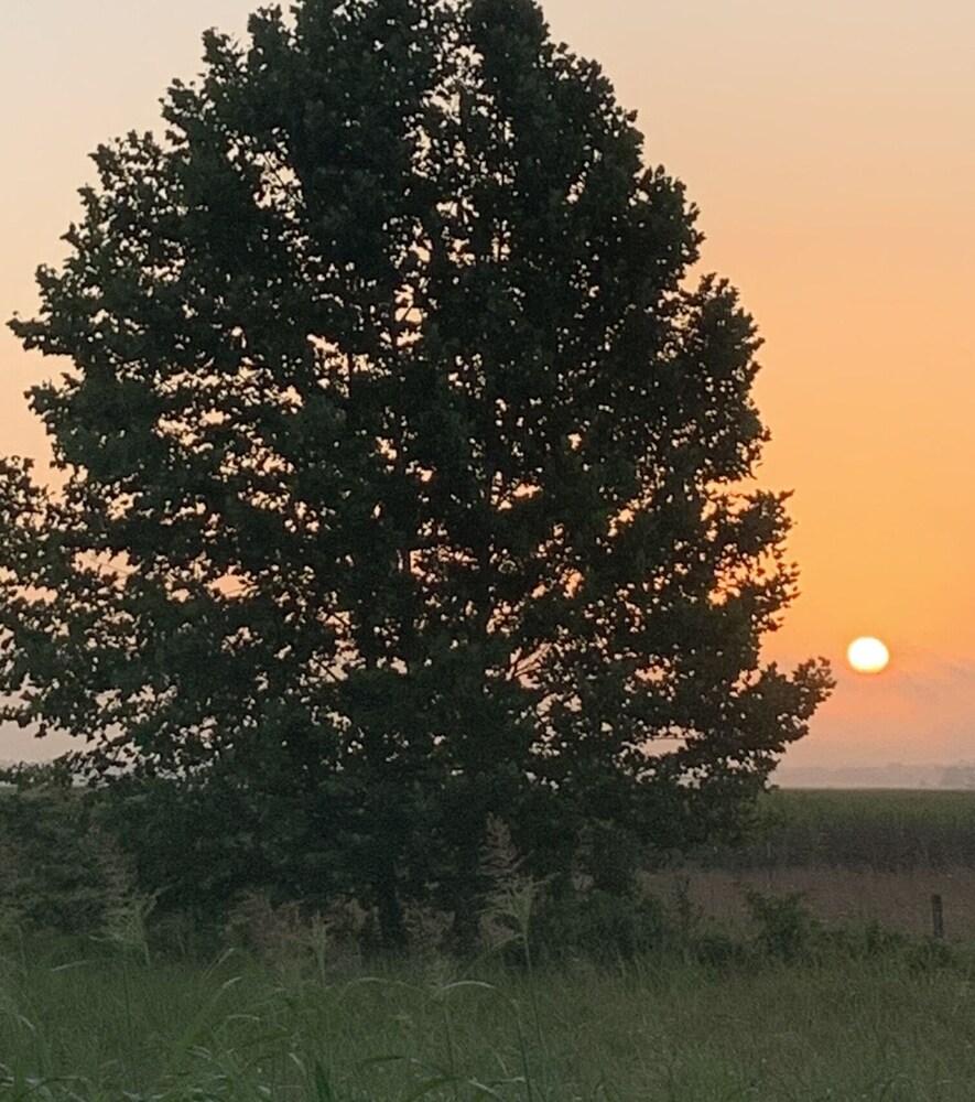 Water front Home on Cane River Deals & Reviews (Natchitoches, USA) Wotif