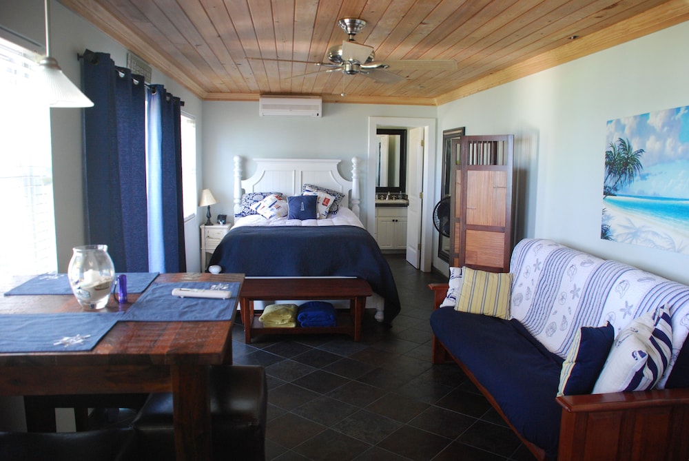 Jolly Mon True Pink Sand Beach Generator, Cistern, Purified Water & Ice North Palmetto