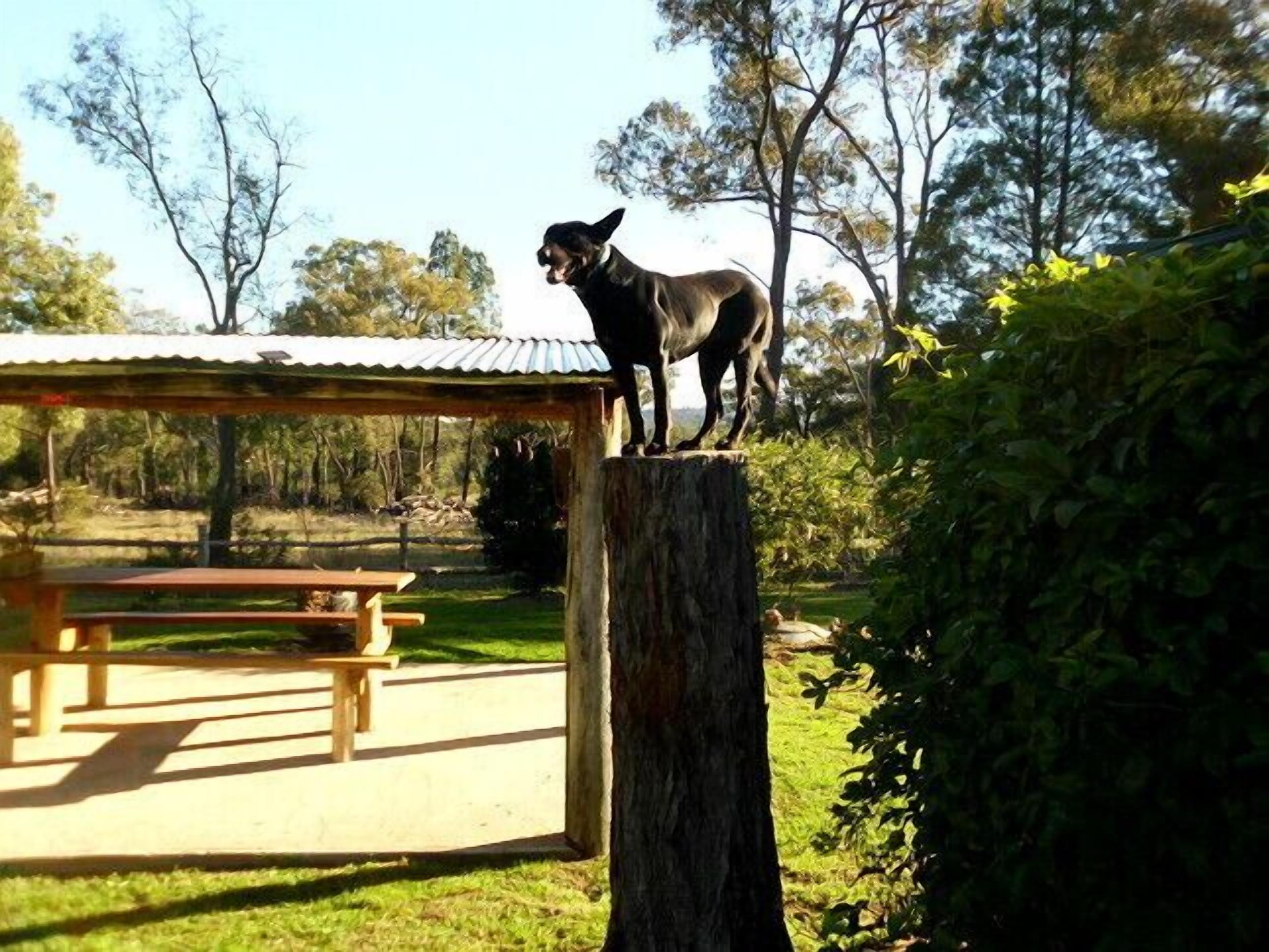 Coona Mudbrick Cotttage