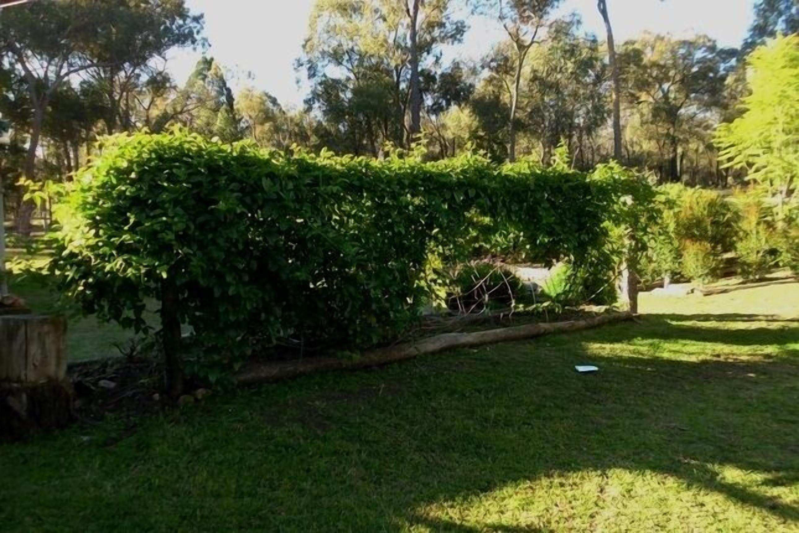 Coona Mudbrick Cotttage
