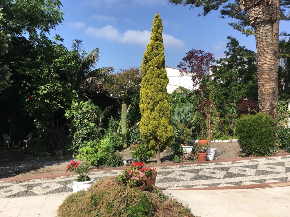 Property grounds,  Rustic beach side villa within a walled garden set in a bay 13km from Tarifa.