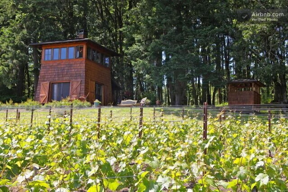 Beautiful Cabin In The Heart Of Oregon Wine Country Stunning Views Beautiful Cabin In The Heart Of Oregon Wine Country Stunning Views 0 Out 5