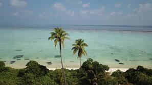 Plage, plongée sous-marine
