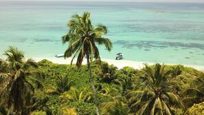 Plage, plongée sous-marine