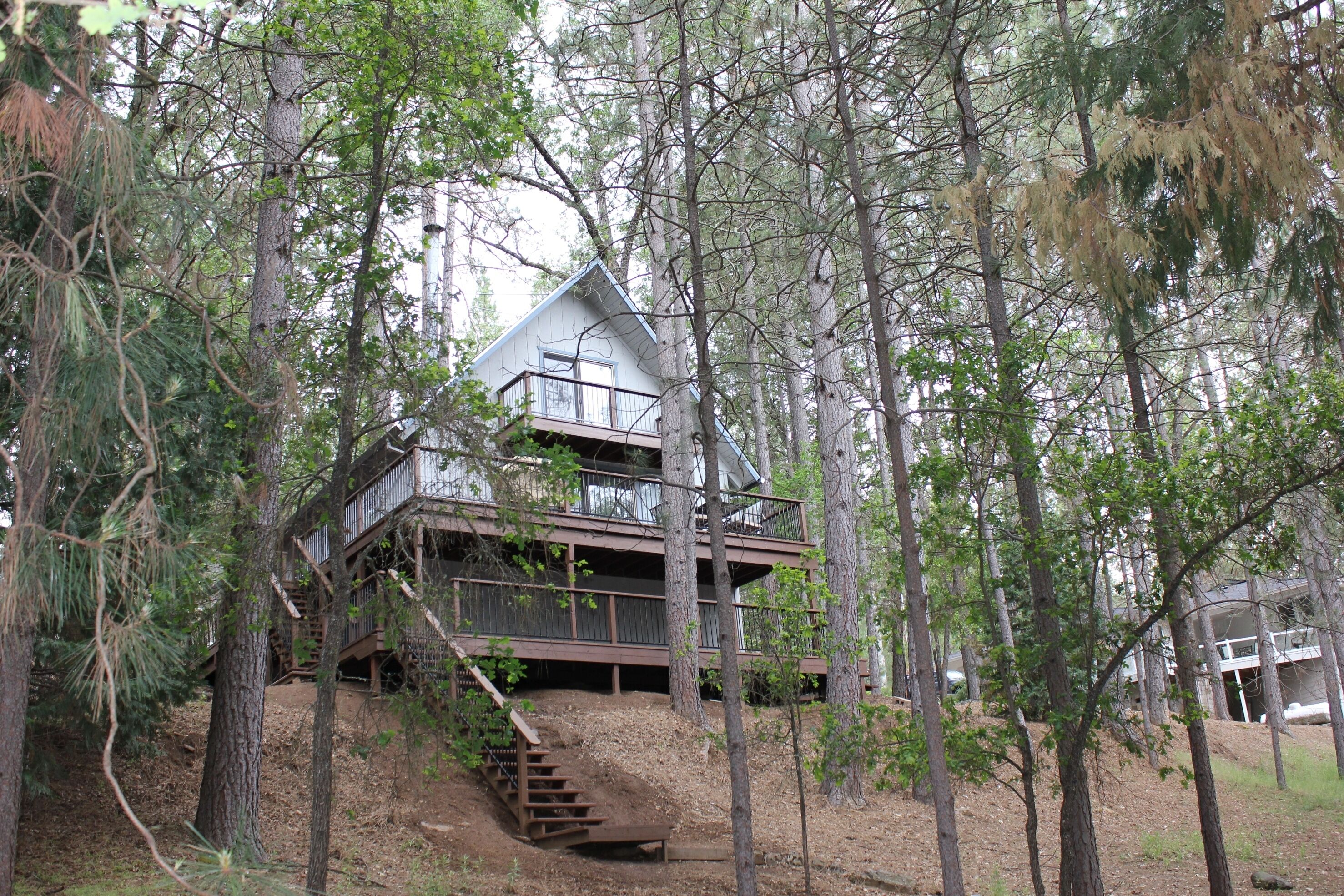 Spacious Yosemite Cabin W Free Wifi And Modern Amenties At Pine