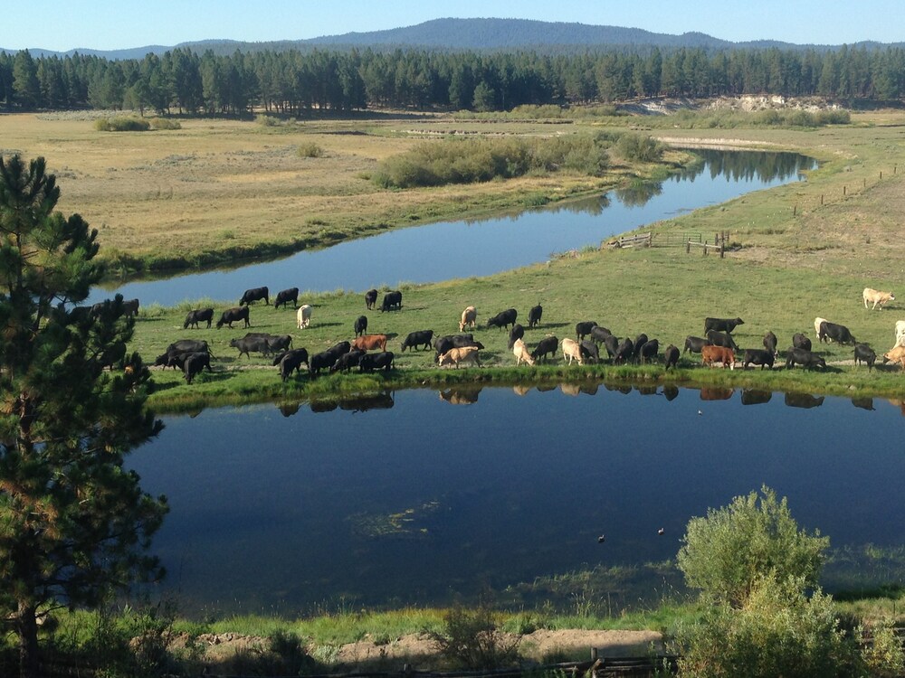 Home On The Sprague River In Chiloquin Oregon 40 Miles From Crater Featured Image