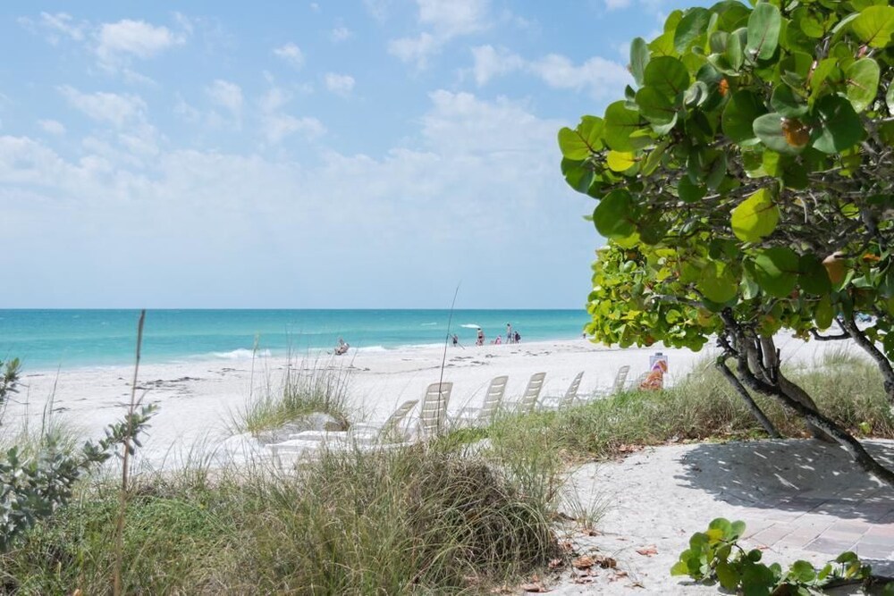 Beach House Resort 7 In Sarasota Fl Expedia