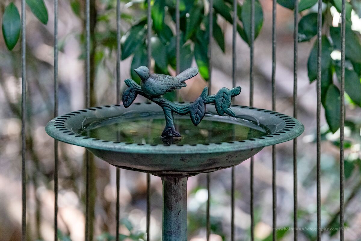 Bellbird Studio, pet Friendly, Glamping Getaway