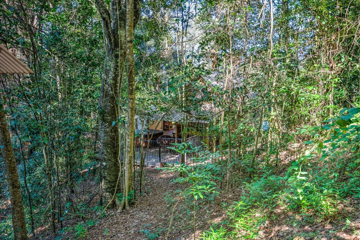 Bellbird Studio, pet Friendly, Glamping Getaway