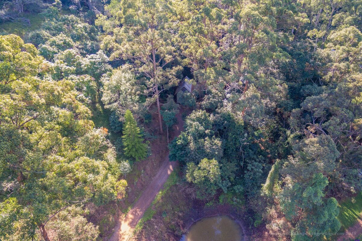 Bellbird Studio, pet Friendly, Glamping Getaway