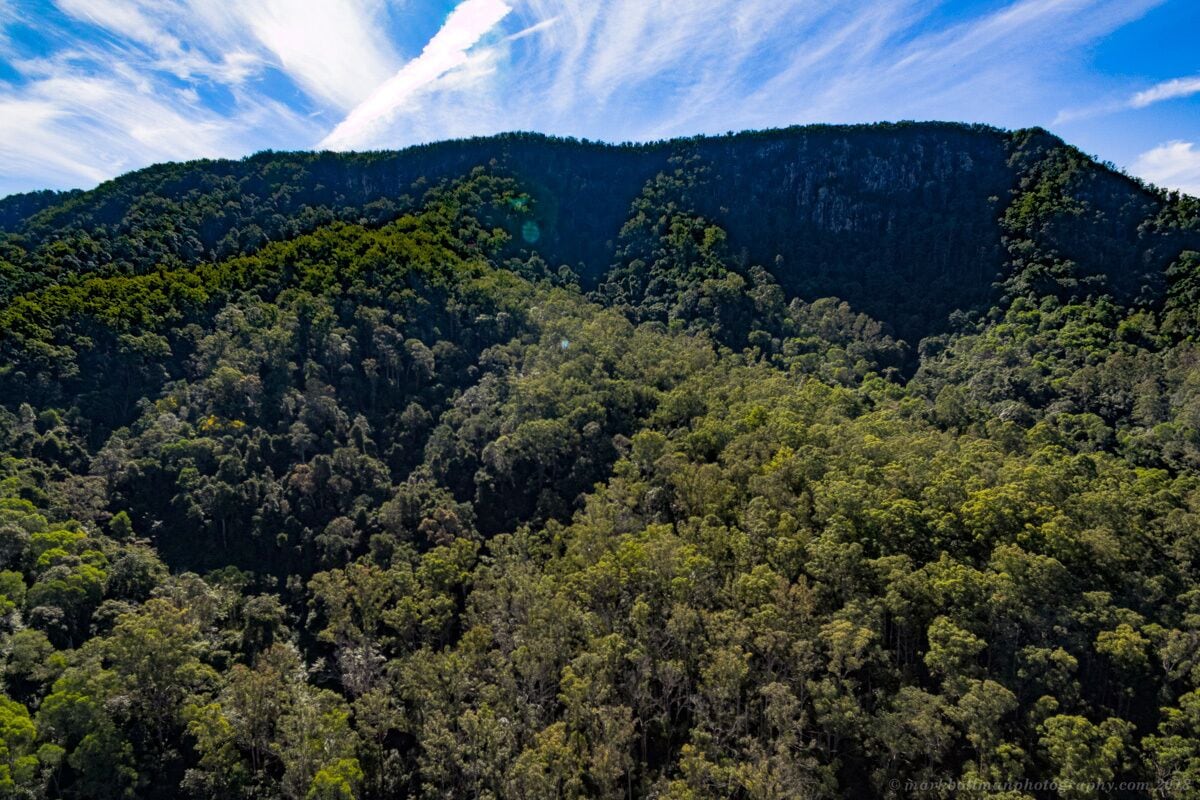 Bellbird Studio, pet Friendly, Glamping Getaway