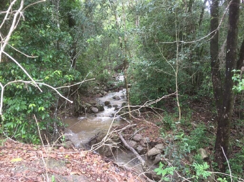 Bellbird Studio, pet Friendly, Glamping Getaway