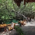 Hostel Bambu Gran Palas