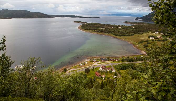 hamarøy dating site pris på singel i forsand