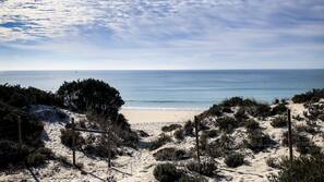 Aan het strand, wit zand